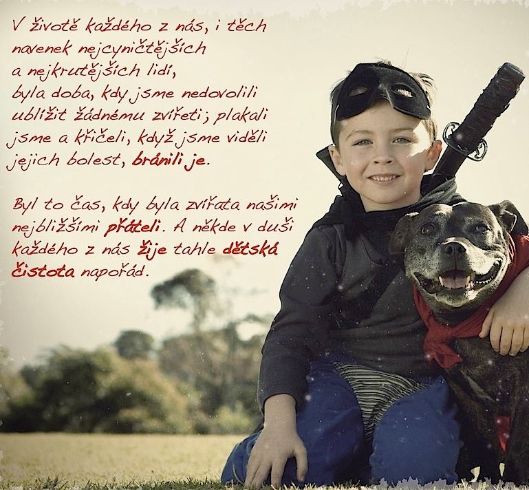 ilustrační foto